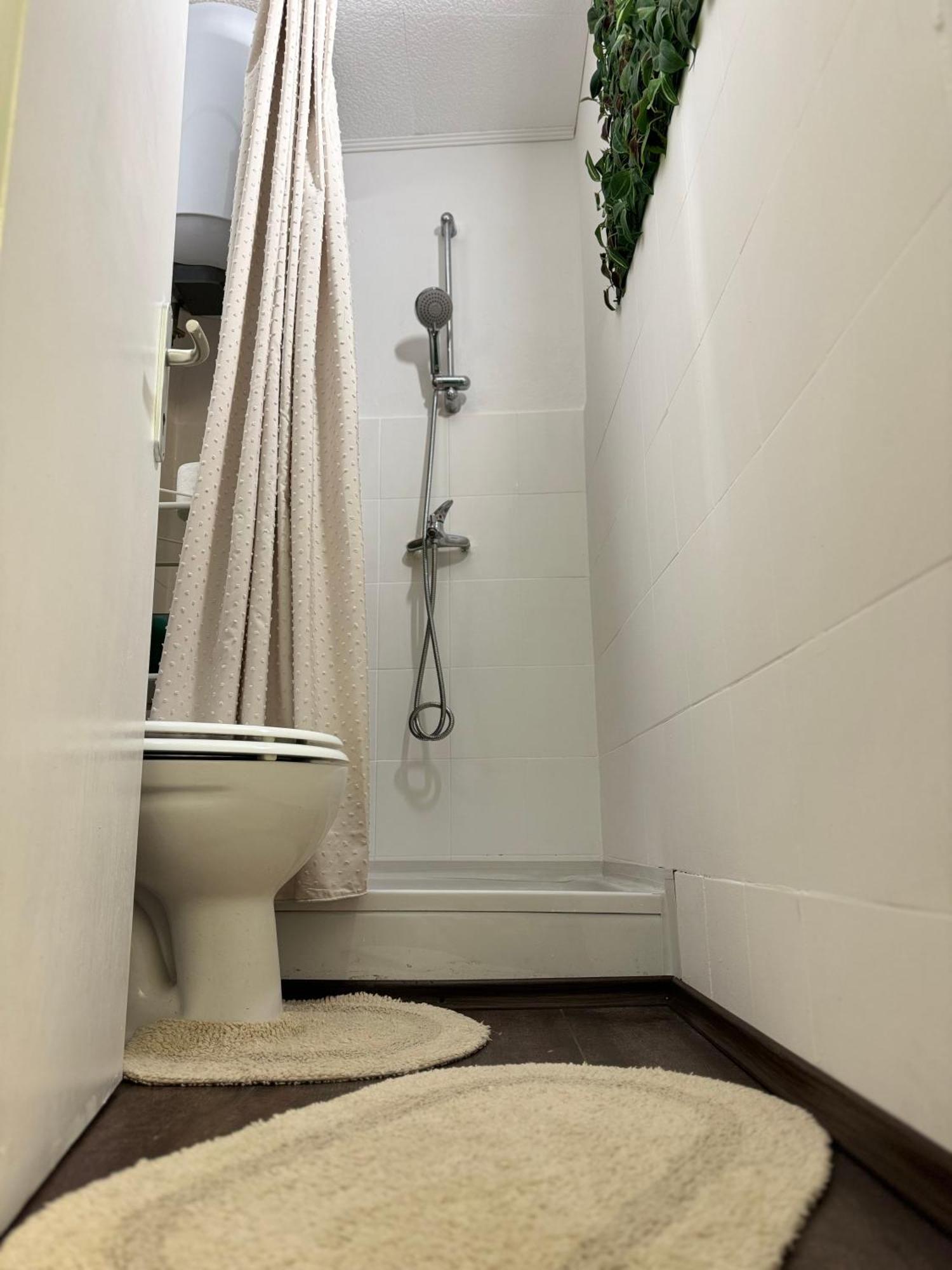 Oh La La Apartment Old Town Rovinj Zewnętrze zdjęcie